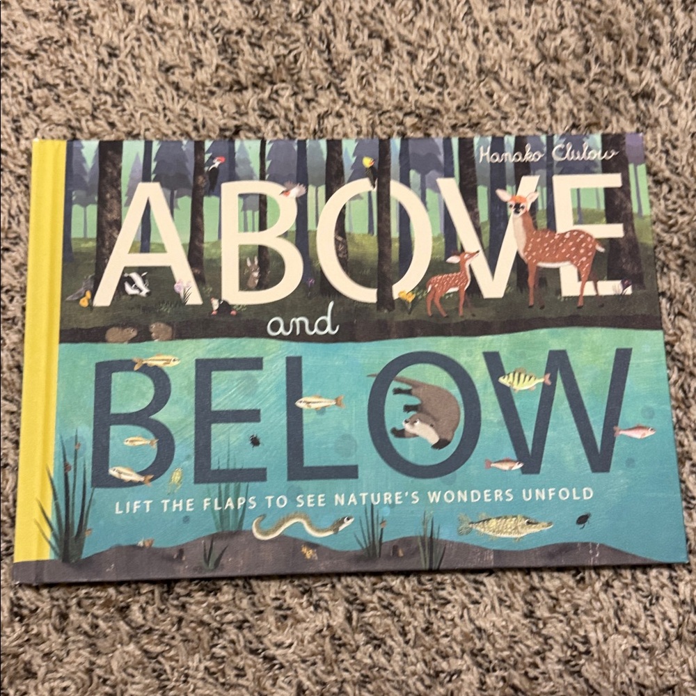 Children's Book Collection - Picture 6 of 11